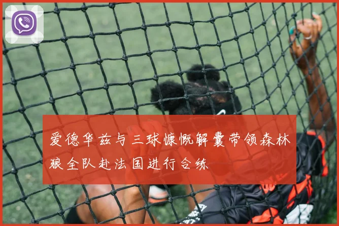 爱德华兹与三球慷慨解囊带领森林狼全队赴法国进行合练